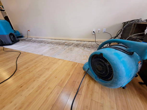 Professional Sewage Cleanup technician working in Fulton, IL
